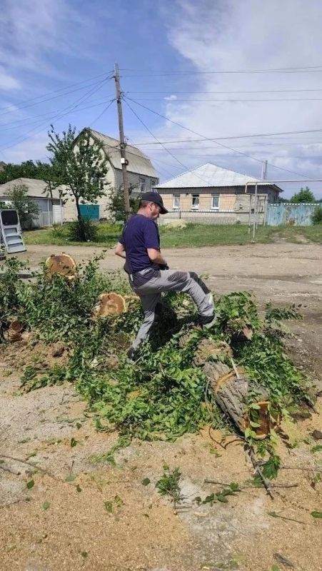 В Успенке спилили старые деревья В Успенке спилили старые деревья
