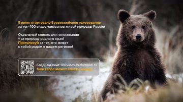 Всероссийское голосование проекта «Вместе для дикой природы» по выбору топ-100 краснокнижных видов — символов страны продолжается и продлится до конца сентября