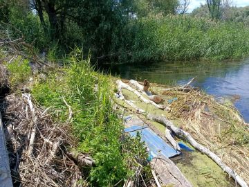 Благоустройство Новоайдара: река Айдар стала чище и уютнее