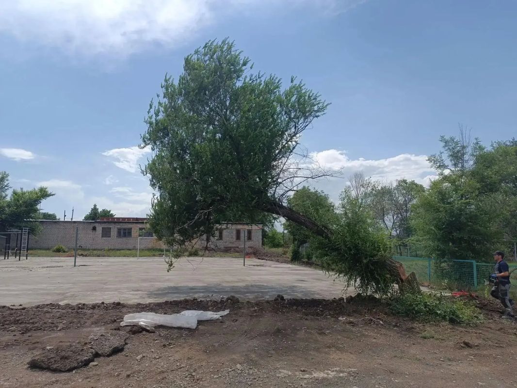В Успенке спилили старые деревья В Успенке спилили старые деревья