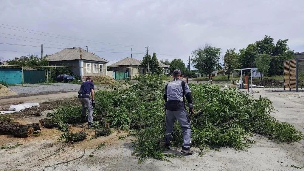 В Успенке спилили старые деревья В Успенке спилили старые деревья