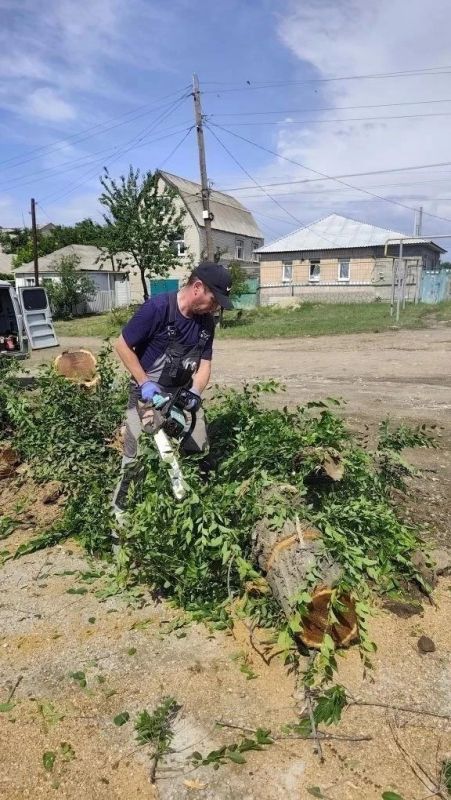 В Успенке спилили старые деревья В Успенке спилили старые деревья