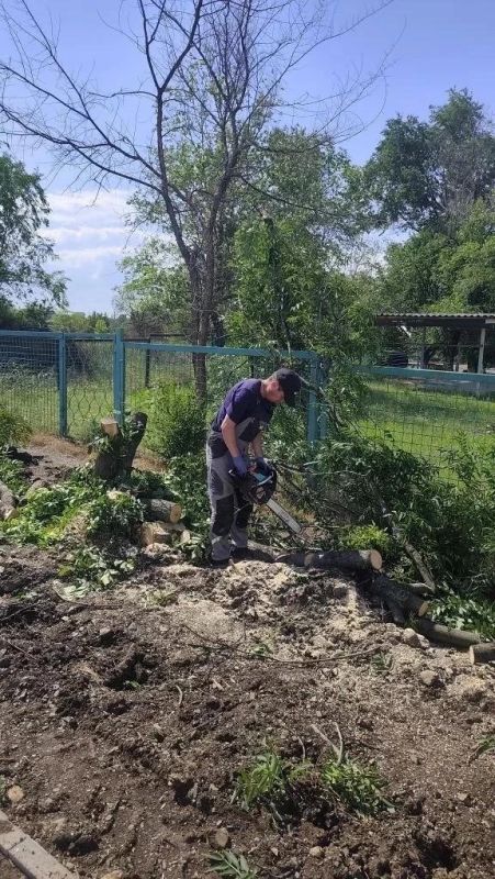 В Успенке спилили старые деревья В Успенке спилили старые деревья