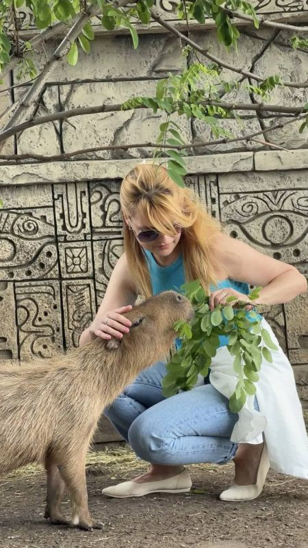 Дарья Лантратова: В Красносулинском районе неподалёку от города Шахты расположен парк «Малинки» Дарья Лантратова: В Красносулинском районе неподалёку от города Шахты расположен парк «Малинки»