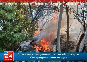 Спасатели потушили открытый пожар в Северодонецком округе