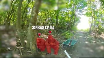 Работает «Рубикон»