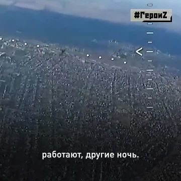 Российские десантники: смелые, сильные, отважные! Эти герои служат в Псковском гвардейском соединении ВДВ