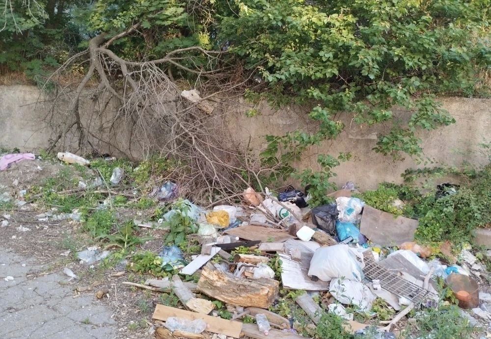 В Луганске на постоянной основе проходят мероприятия по благоустройству В Луганске на постоянной основе проходят мероприятия по благоустройству