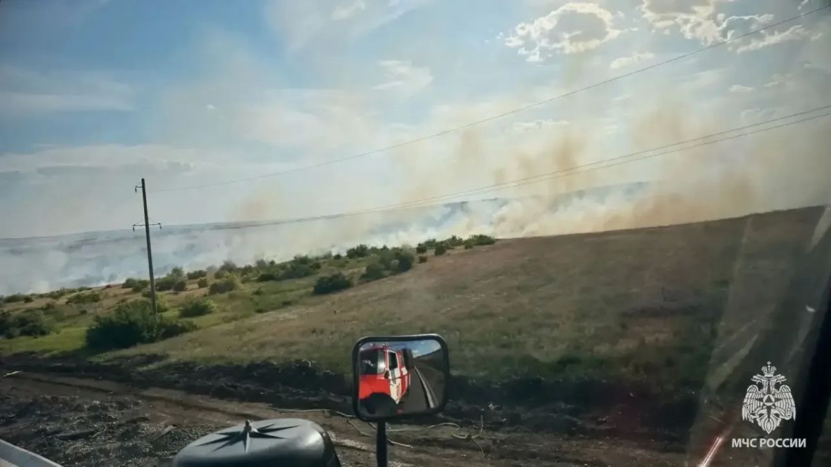 За прошедшие выходные в ЛНР произошло 28 возгораний За прошедшие выходные в ЛНР произошло 28 возгораний
