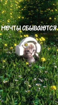 Твои реальные достижения круче запрещенных веществ