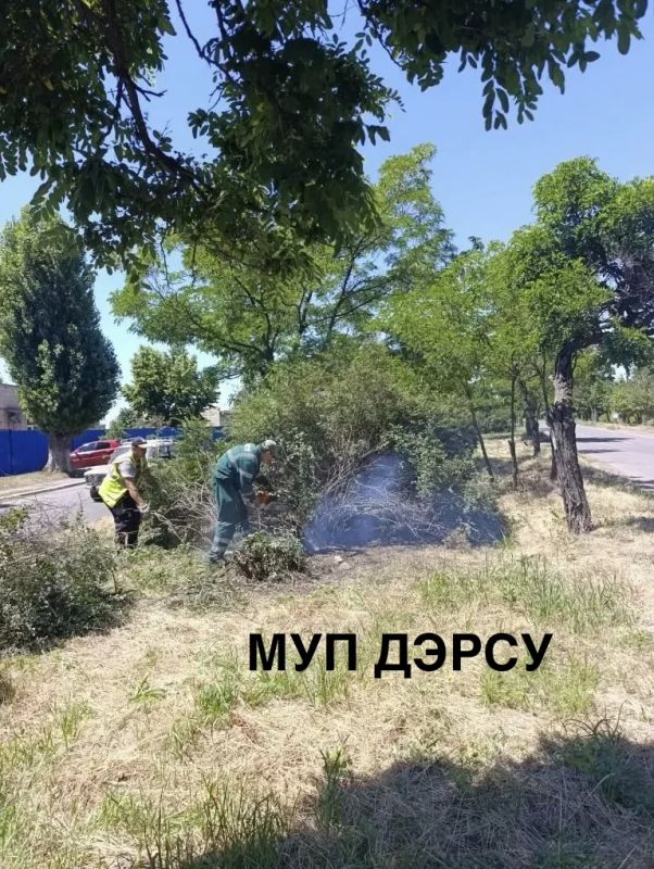 За период с 29.06.2026 по. 03.07.2026 было выполнено : За период с 29.06.2026 по. 03.07.2026 было выполнено :