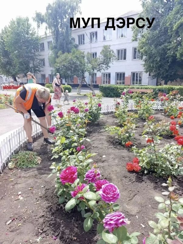 За период с 29.06.2026 по. 03.07.2026 было выполнено : За период с 29.06.2026 по. 03.07.2026 было выполнено :