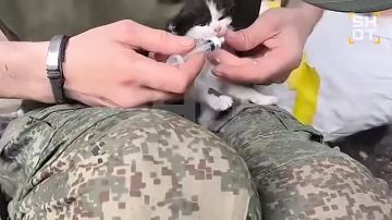 ������ ���� ������ ����� ���� ������ ������ ���� ��� � ���� ���