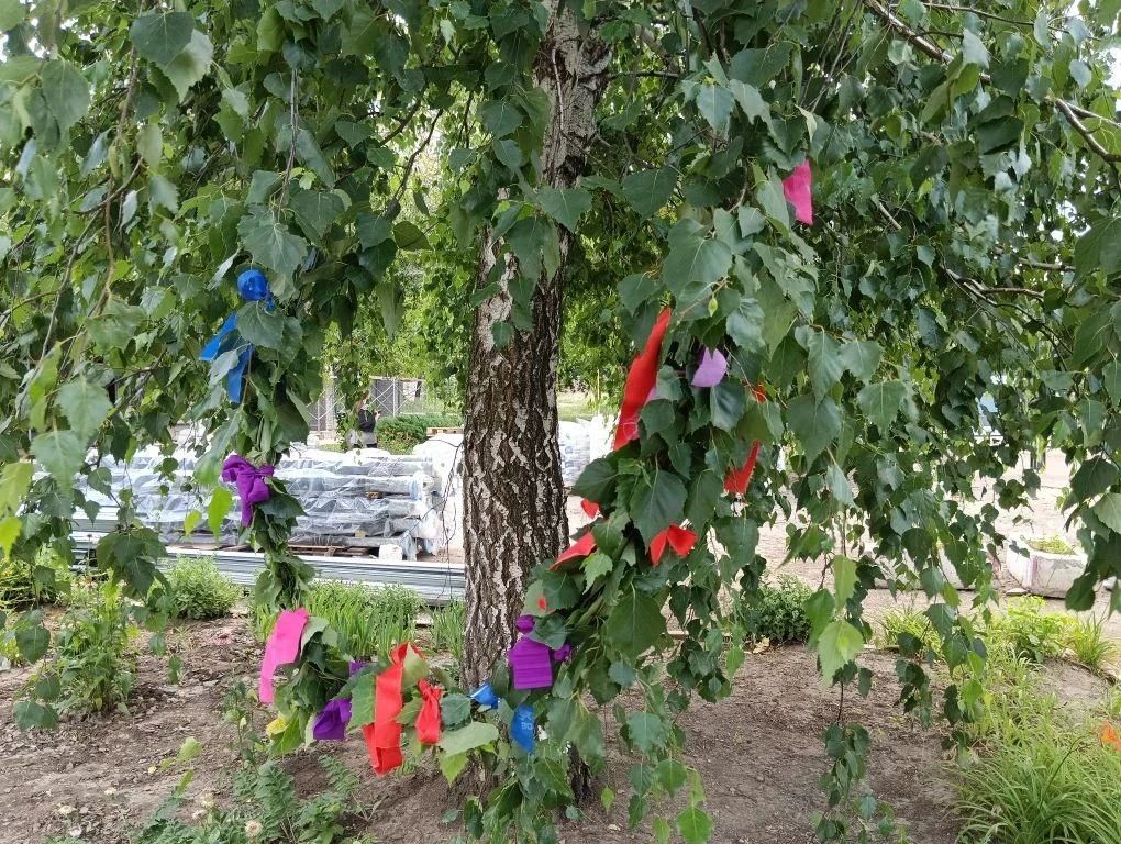 В Кировском историко-художественном музее для активистов Первичного отделения Движения Первых Кировской многопрофильной гимназии была проведена тематическая встреча: «Народные праздники: Праздник Ивана Купалы: история... В Кировском историко-художественном музее для активистов Первичного отделения Движения Первых Кировской многопрофильной гимназии была проведена тематическая встреча: «Народные праздники: Праздник Ивана Купалы: история...