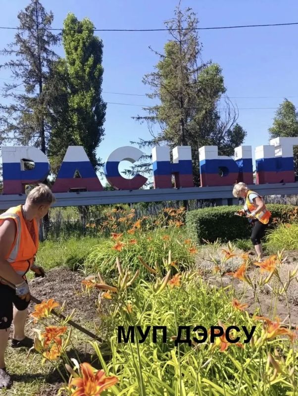 За период с 29.06.2026 по. 03.07.2026 было выполнено : За период с 29.06.2026 по. 03.07.2026 было выполнено :