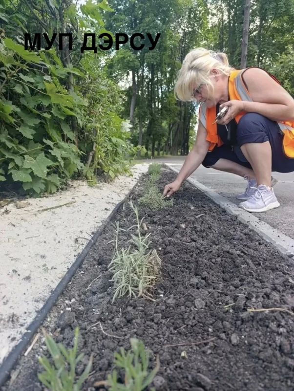 За период с 29.06.2026 по. 03.07.2026 было выполнено : За период с 29.06.2026 по. 03.07.2026 было выполнено :