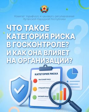 Что такое категория риска в госконтроле и как она влияет на организации?