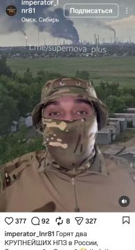 Андрей Медведев: Типичный аккаунт, сляпанный на скорую руку украиским ИПСО