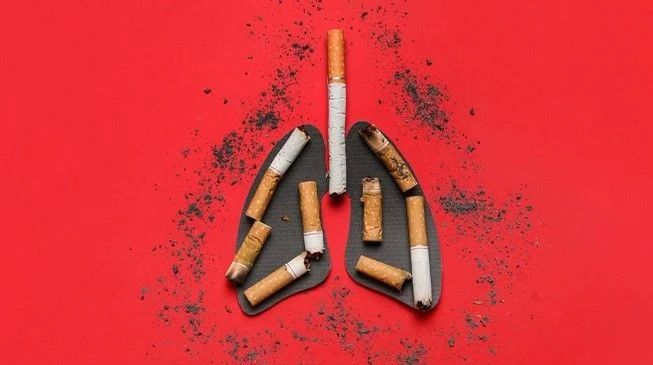 Курение убивает: факты, которые должен знать каждый