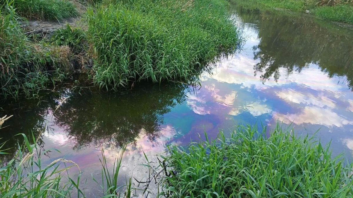 Специалисты Минприроды ЛНР устанавливают причины, способствовавшие загрязнению участка реки Лугань Специалисты Минприроды ЛНР устанавливают причины, способствовавшие загрязнению участка реки Лугань