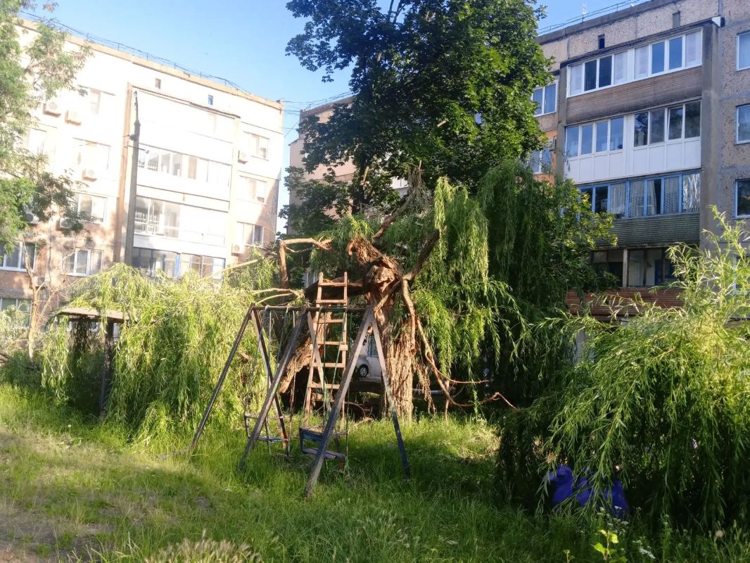 В Ровеньках по обращению жителей ликвидировали последствия падения части дерева В Ровеньках по обращению жителей ликвидировали последствия падения части дерева