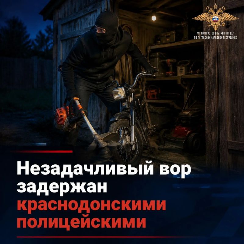 Похититель мопеда и садовых триммеров в Краснодонском округе оперативно задержан полицейскими