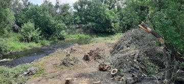 В ЛНР начали расчистку реки Большая Каменка