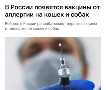 В Россия появится вакцина от аллергии на кошек и собак
