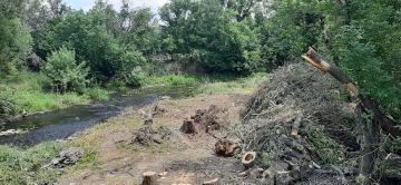 В Республике стартовали работы по расчистке реки Большая Каменка, проводимые в рамках национального проекта «Экологическое благополучие»