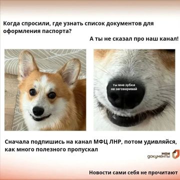 МФЦ ЛНР остаётся с вами на связи
