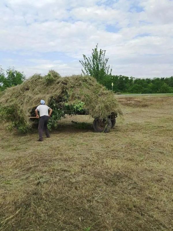 Чистота начинается с нас.. Чистота начинается с нас..