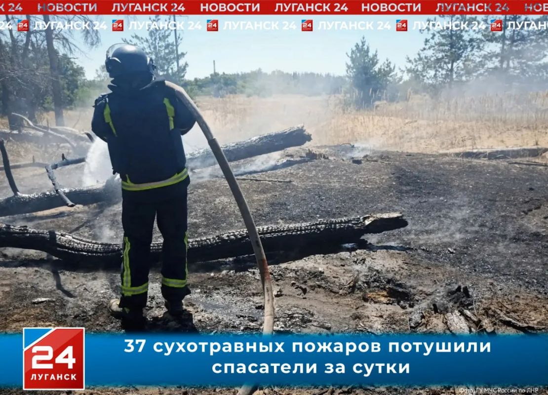 37 сухотравных пожаров потушили спасатели за сутки