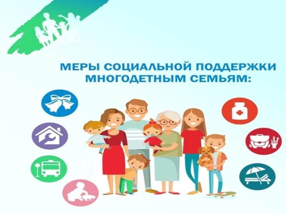 О предоставлении ежемесячной денежной выплаты на оплату проезда многодетным семьям на территории ЛНР