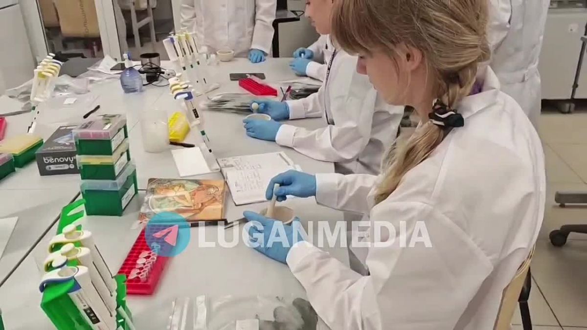 Краснолучская школьница работает над научным проектом в центре «Сириус»