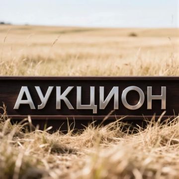 ИНФОРМАЦИЯ ОБ АУКЦИОНЕ ПО ПРОДАЖЕ ЗЕМЕЛЬНЫХ УЧАСТКОВ!!!