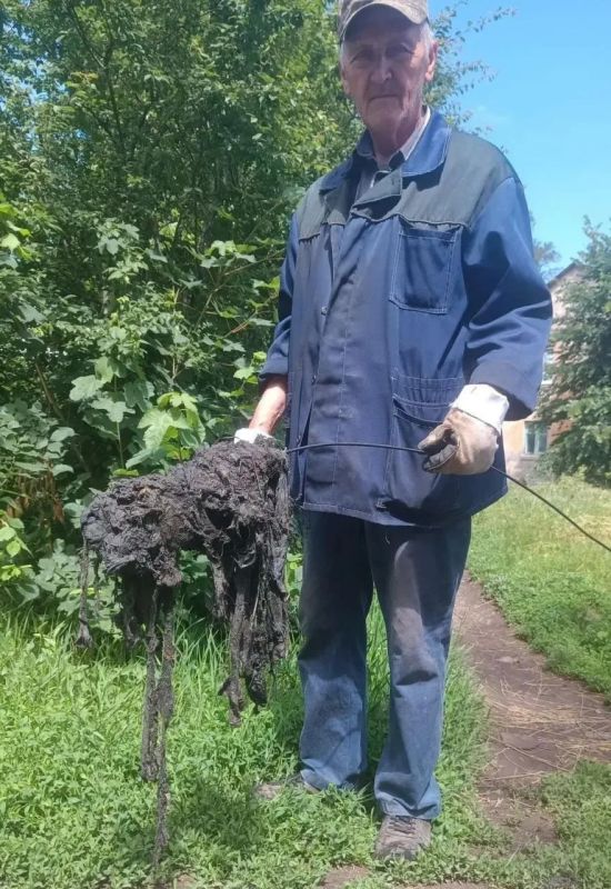 За полгода сотрудники «Луганскводы» устранили почти 20 тысяч засоров по всей ЛНР
