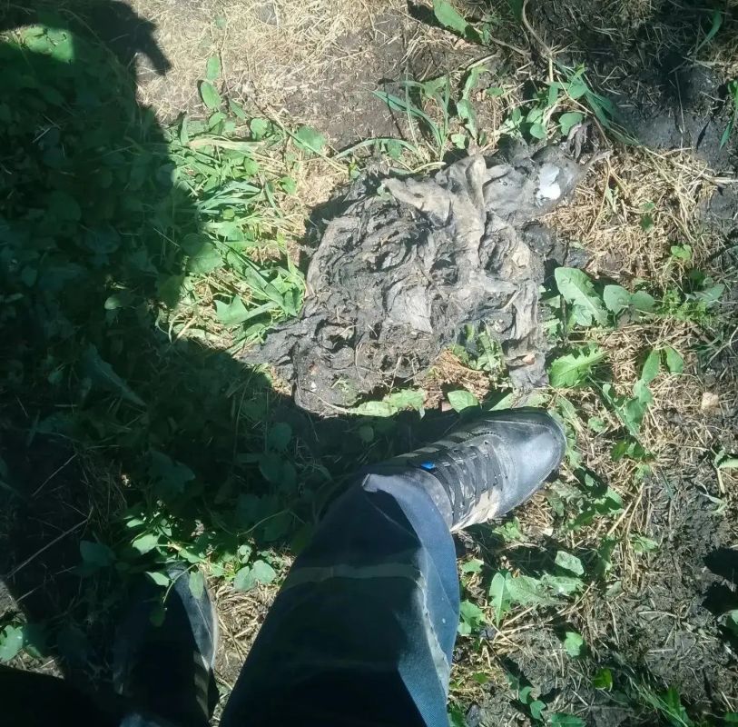 Почти 20 тысяч засоров в канализационных сетях устранили специалисты "Луганскводы" за половину 2026 года Почти 20 тысяч засоров в канализационных сетях устранили специалисты "Луганскводы" за половину 2026 года
