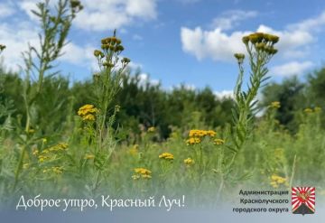 Доброе утро, краснолучане и гости города!