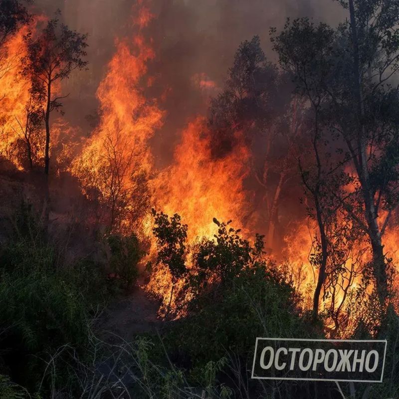 МЧС ИНФОРМИРУЕТ: ОБКАШИВАЙТЕ ПРИДОМОВУЮ ТЕРРИТОРИЮ, НЕ ЖГИТЕ СУХУЮ ТРАВУ И МУСОР!