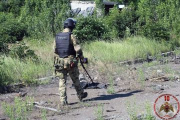 В ЛНР росгвардейцы обнаружили и уничтожили взрывоопасные предметы