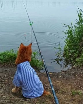 День рыбака отмечается сегодня