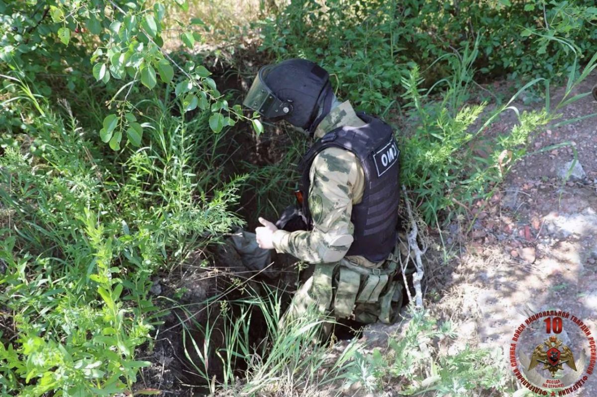 Тайник с боеприпасами обнаружили в ЛНР Тайник с боеприпасами обнаружили в ЛНР