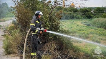За выходные в ЛНР потушили 47 пожаров