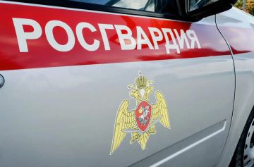 В Красном Луче сотрудники вневедомственной охраны Росгвардии пресекли попытку хищения имущества из магазина