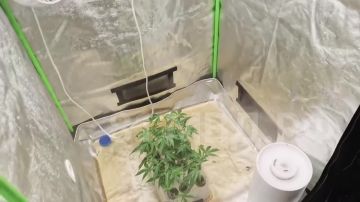 � �������� ���������������� ������ � �������� ������ ��������� � ����� �������