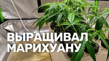 ���������� ���������������� ������������� ������ � ������ ������� ������� ������ ���������