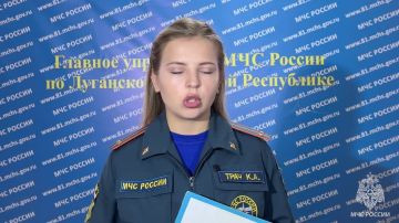 ГУ МЧС России по ЛНР | Сводка за прошедшую неделю