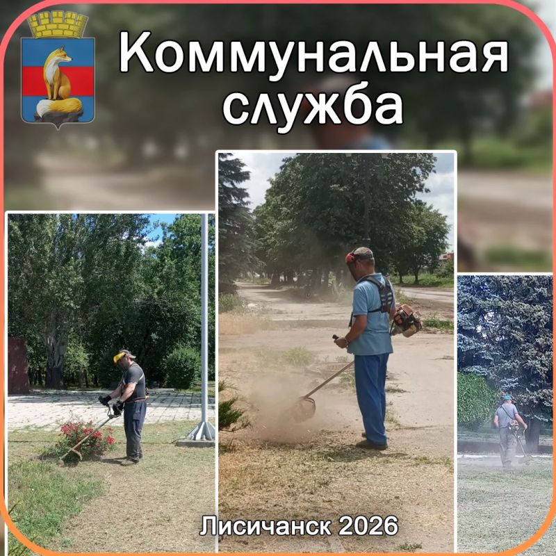 Работники коммунальной службы города приступили к сезонному покосу травы