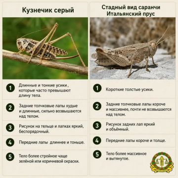 ������� � ���: ���� ����������, ������ ����������