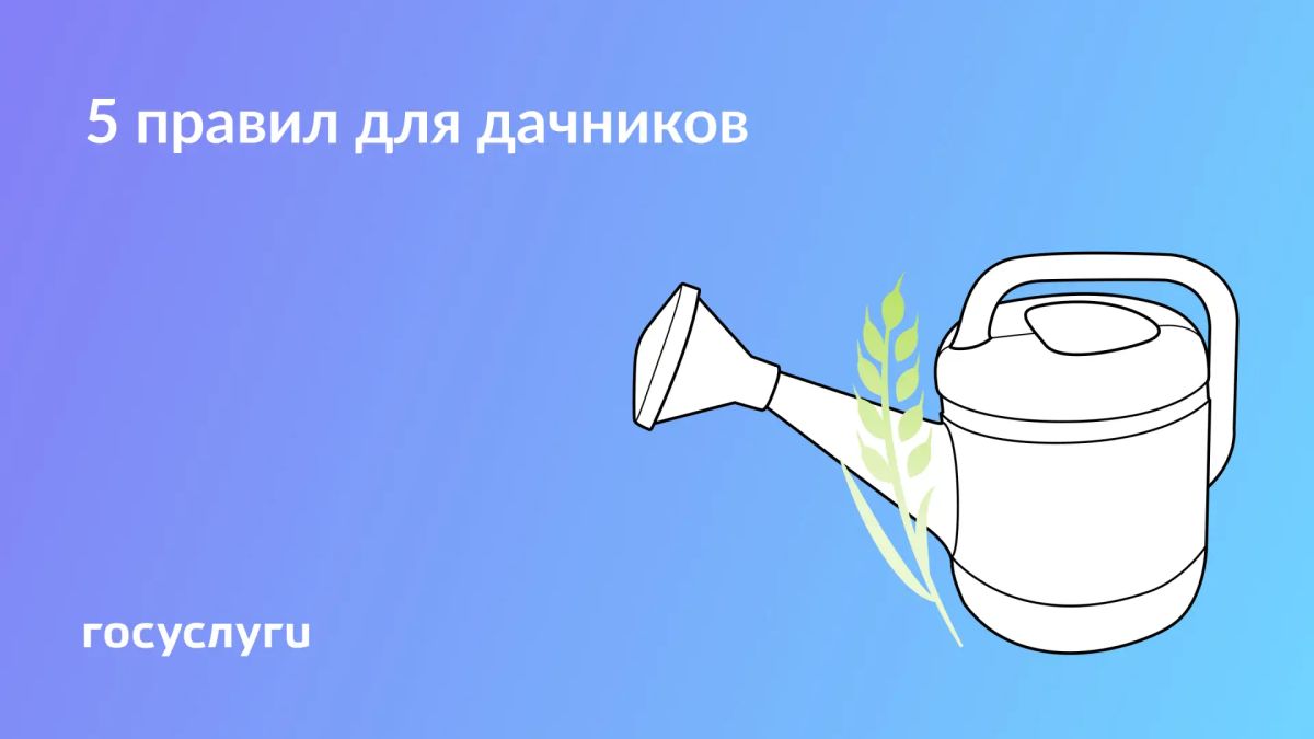 Растения, постройки и безопасность: что учесть дачникам